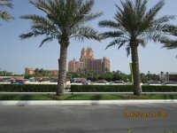 IMG 0501