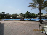 IMG 0591