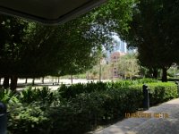 IMG 0593