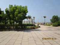 IMG 0597
