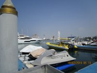 IMG 0600