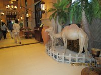 IMG 0610