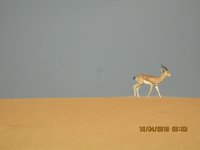 IMG 0667