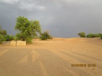 IMG 0671