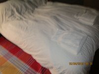 IMG 0672