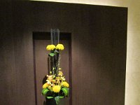 IMG 0729