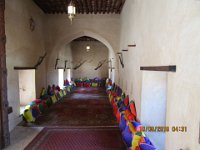 IMG 0755