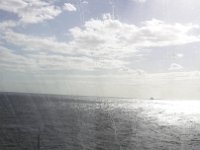 2017-01 Allure-of-the-Sea 016