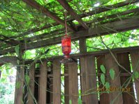 2017-01 Allure-of-the-Sea 039