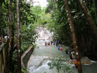 2017-01 Allure-of-the-Sea 047