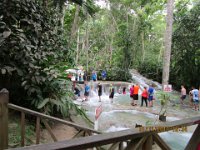 2017-01 Allure-of-the-Sea 054